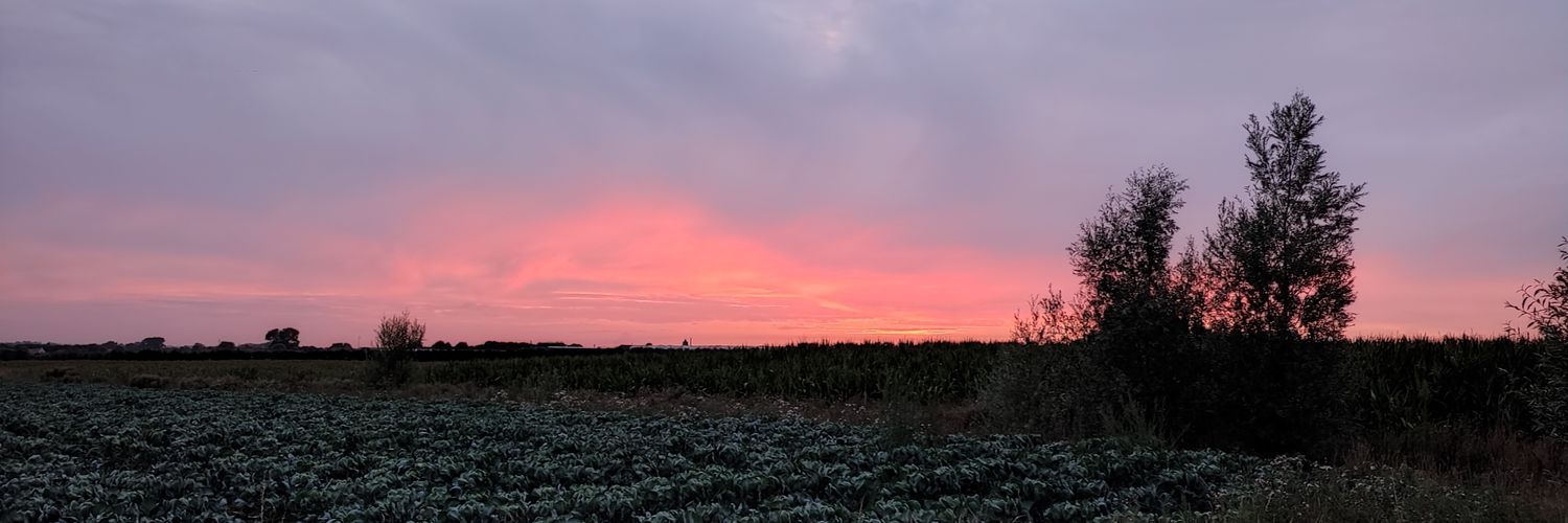 MaximeMSTY's profile banner image