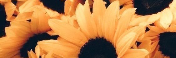 kayzimm's profile banner image