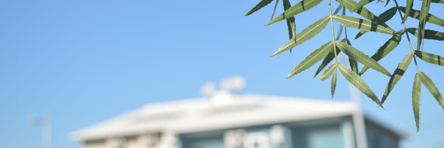 mostardaa_'s profile banner image