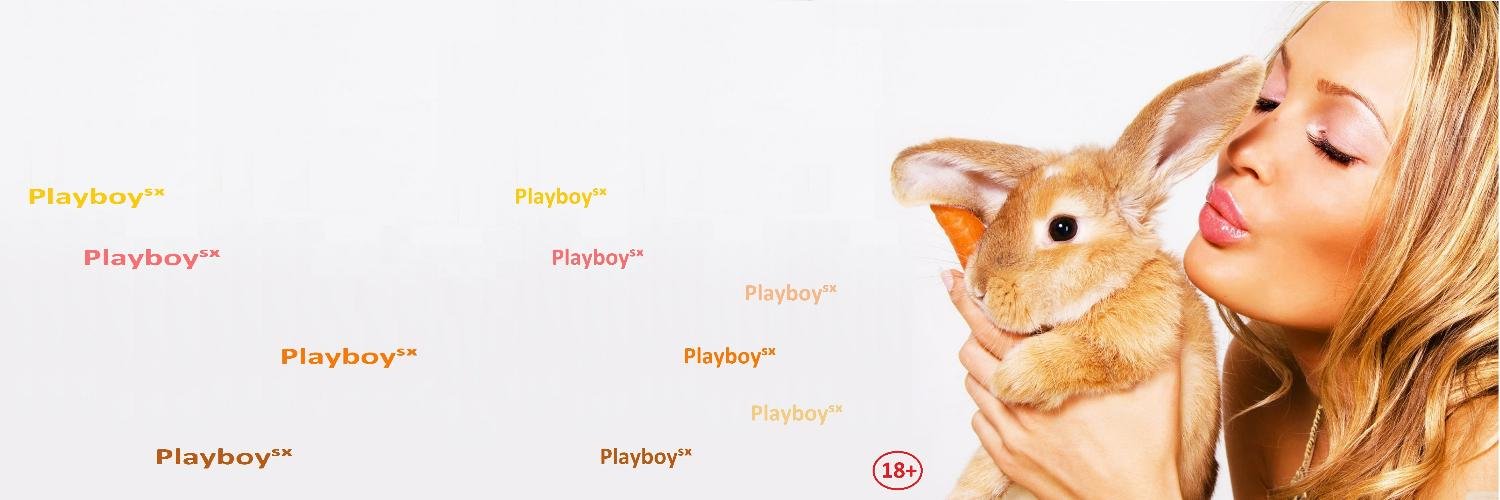 Bad Rabbitˢˣ  ﻹ banner