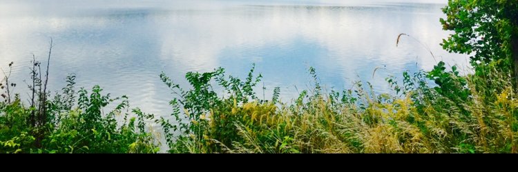 Milele Kennedy banner