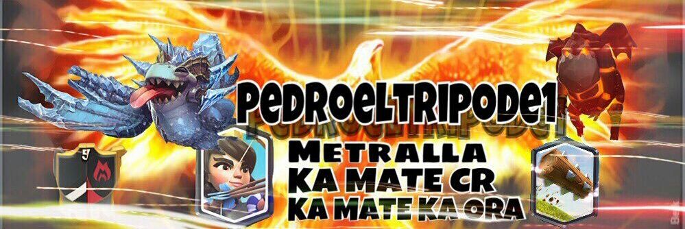 pedroeltripode1 banner