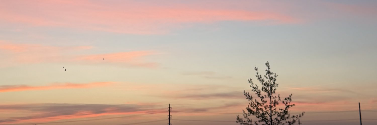 greciarov's profile banner image