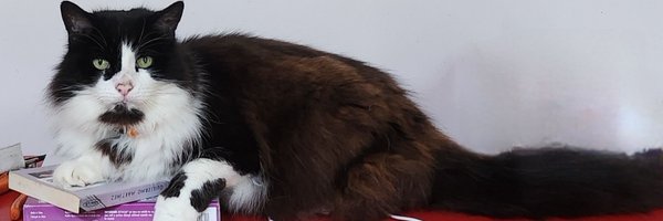 DrEleanor1 Profile Banner