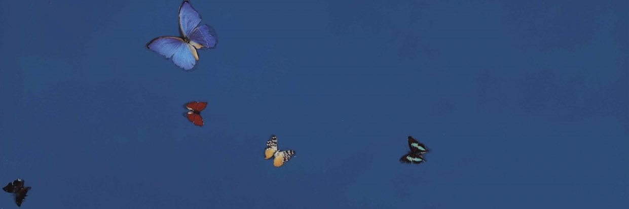 carlybwagner's profile banner image