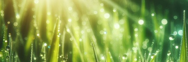 hiddenphysicist Profile Banner