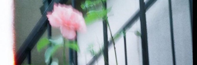 merqies's profile banner image