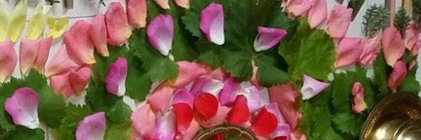 midwifepaula Profile Banner