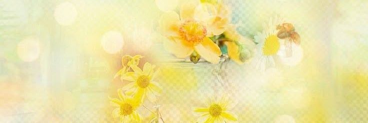 papilonplume's profile banner image