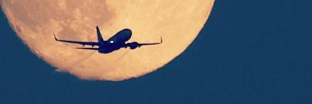 ceciibing's profile banner image