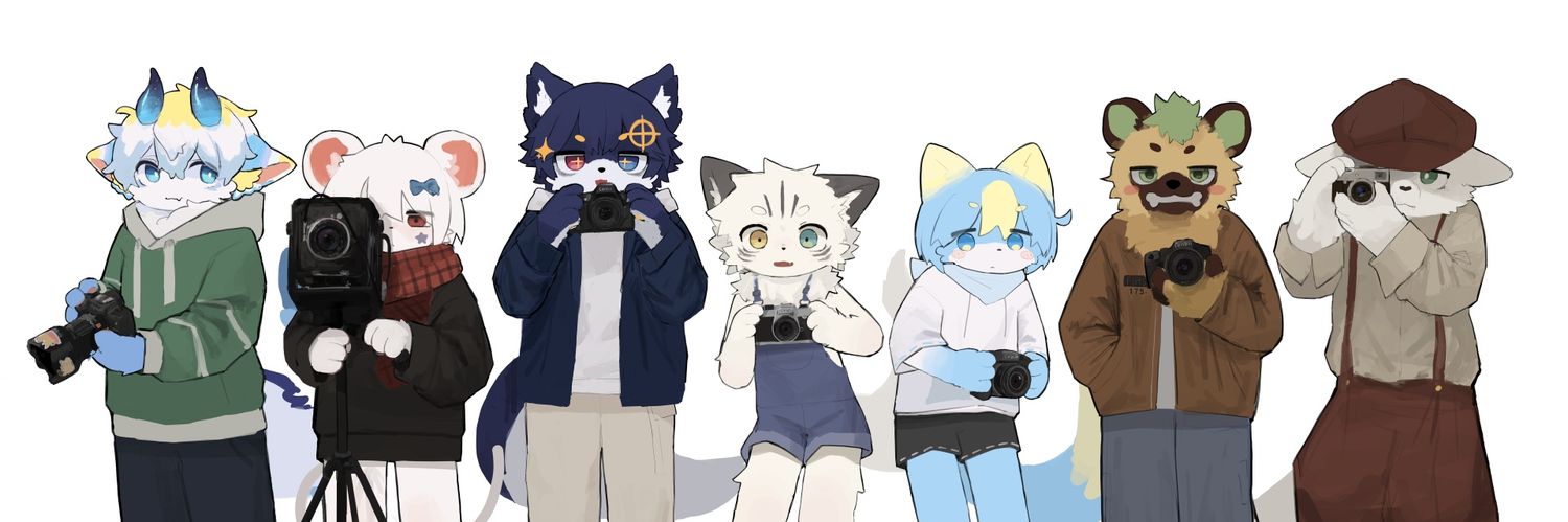 Compass Cat/argo banner