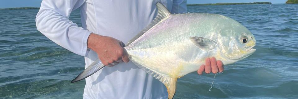 Thomas William White banner