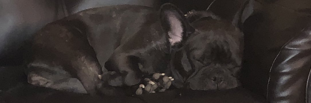 chickn227's profile banner image