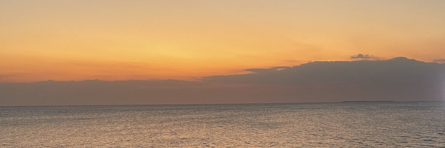 NK🧚🏼‍♀️ banner