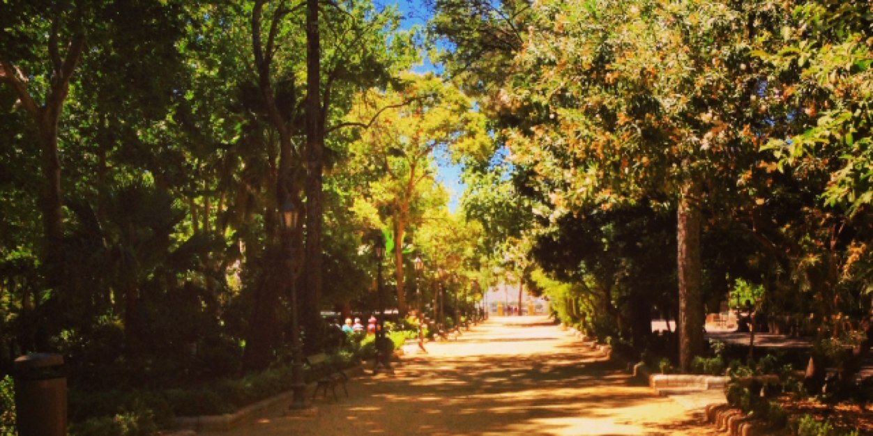 ElleFurlong's profile banner image