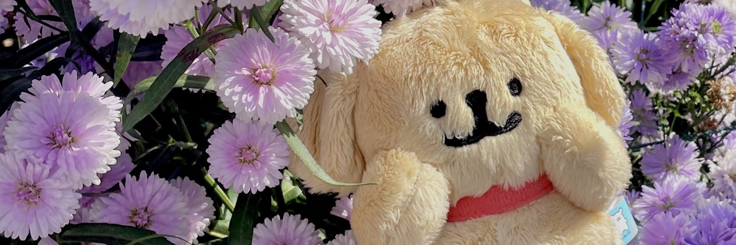 ღ banner
