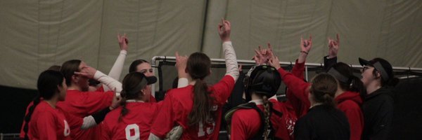 softballNDSCS Profile Banner