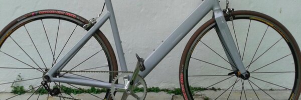 dpcmayo Profile Banner