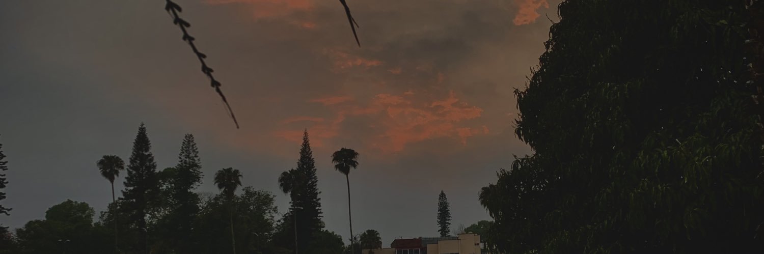 AlexGuzmn3's profile banner image
