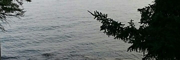 maestra218's profile banner image