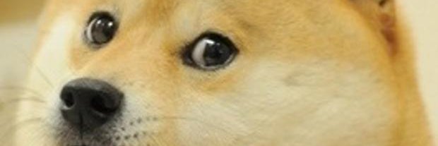 kuddo19's profile banner image