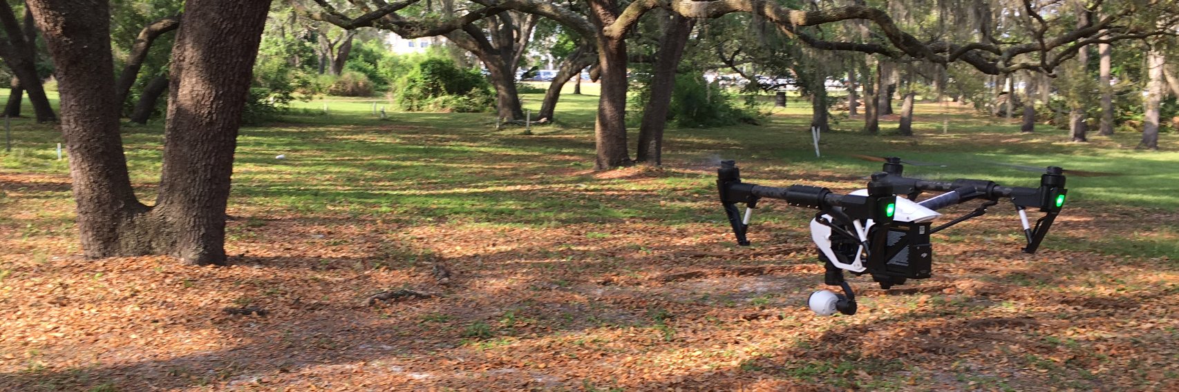 Troi Williams banner