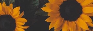 ingridAltamira's profile banner image