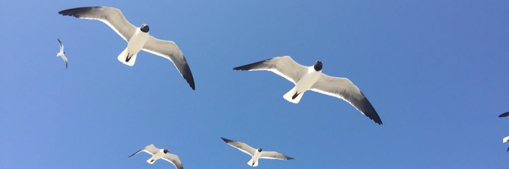 KWLeeDad's profile banner image