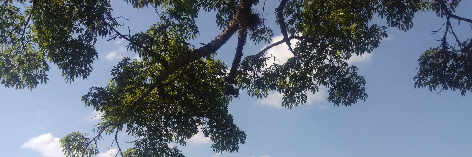 JuCPWolf's profile banner image