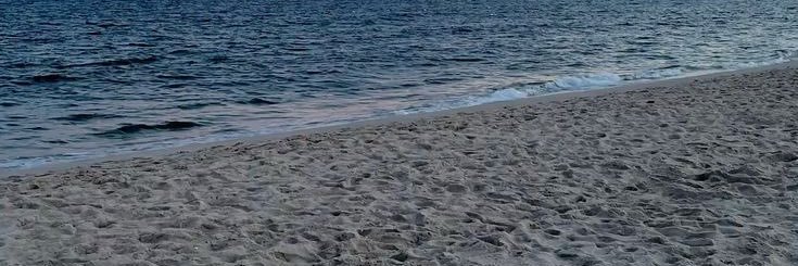 lagunesrll's profile banner image