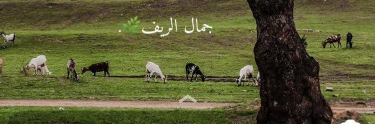 ghaimma's profile banner image