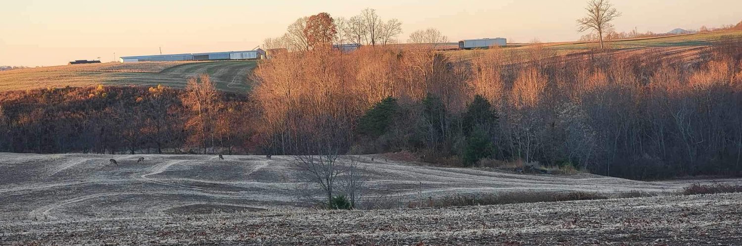 d_gibson44's profile banner image