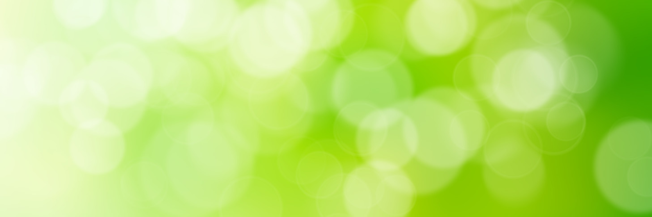 zimbani_'s profile banner image