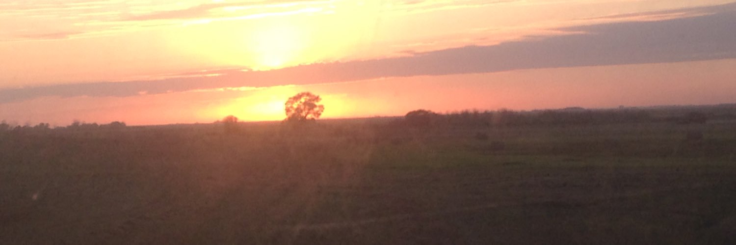 Charlotte Greenshields banner