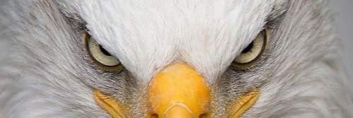 Kojo_Mango's profile banner image