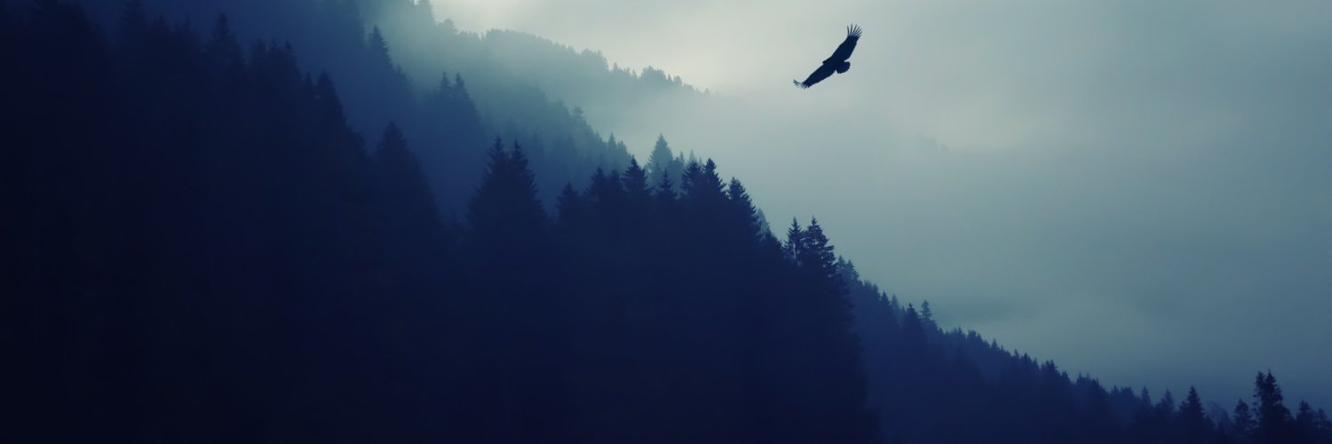 RNCMonteiro's profile banner image