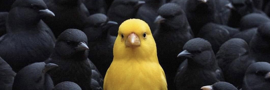 Rocio Olivia 🎨🖌🏝🏃‍♀️🪡 banner