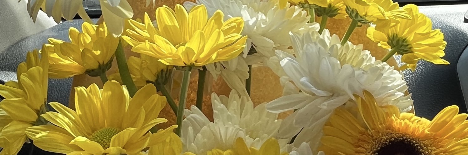 monelich's profile banner image