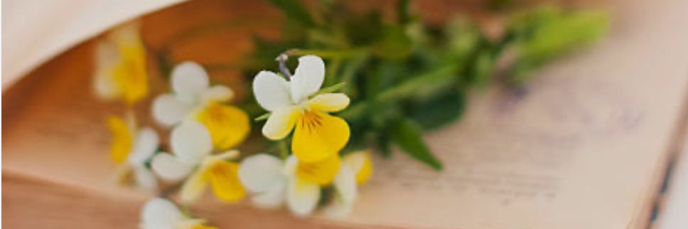 .. صالحـة .. banner