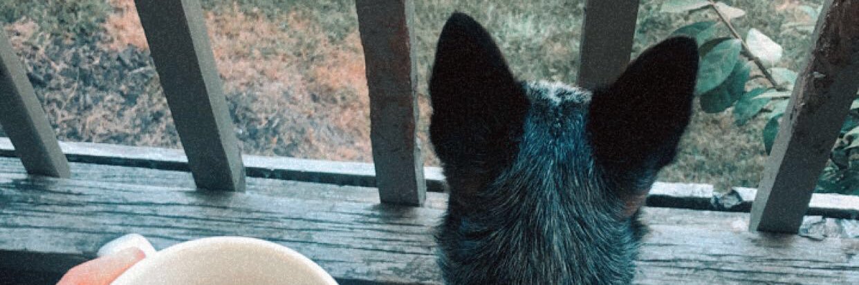 danischreiberr's profile banner image
