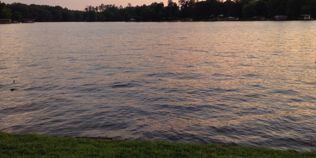 MommaShelnutt's profile banner image