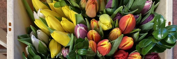 youngblooms Profile Banner