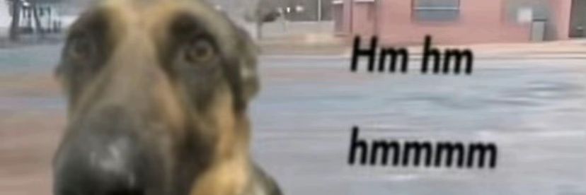 AnonymusRezeFan banner