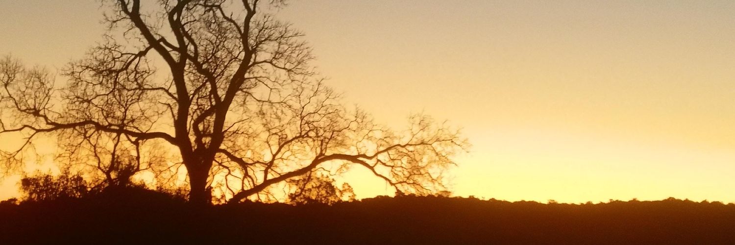 theunsjan's profile banner image