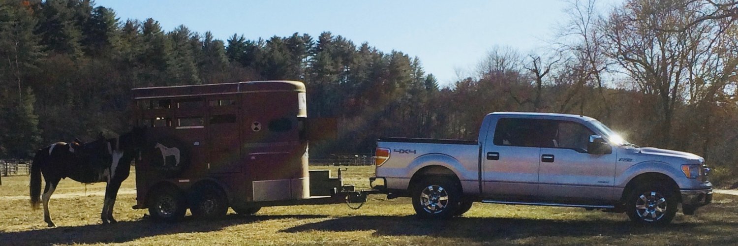 Debi in NC 🇺🇸🦋 🇺🇦😎💙 🐎 🐕 🐈‍⬛ banner