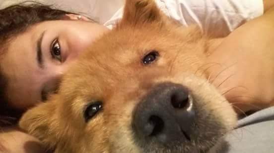KristelMunozL's profile banner image