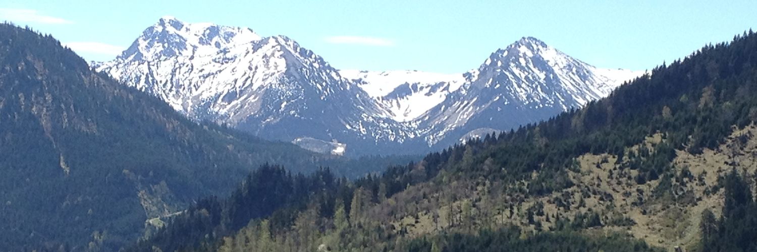 Milton Fernando Montoya banner