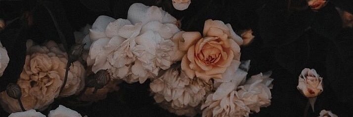 seri_ssar's profile banner image