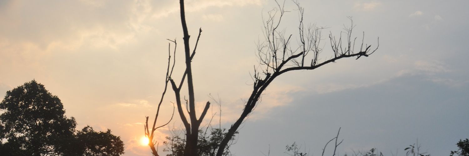 chamirayapa's profile banner image