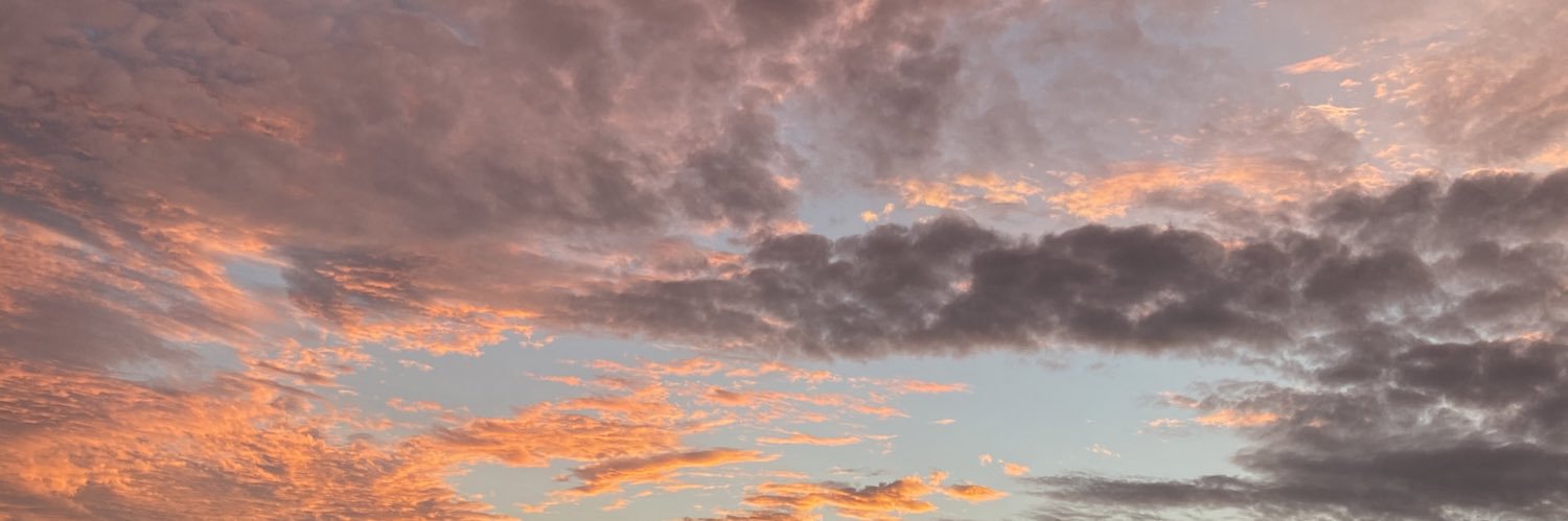 _RobinsonCourt's profile banner image